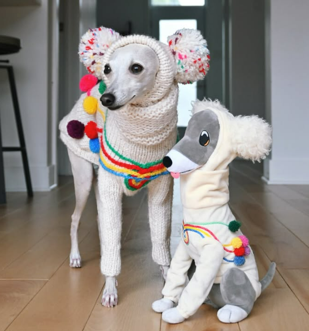 Tika in a cream knit sweater with rainbow pom-poms, standing beside a matching plush